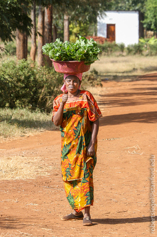 woman with basket